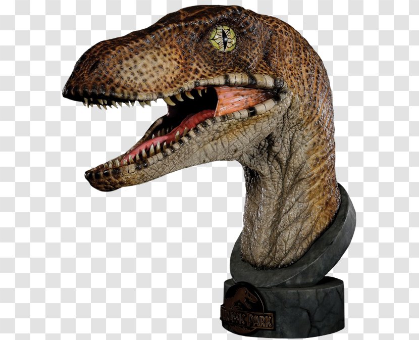 Velociraptor Deinonychus Dilophosaurus Jurassic Park Bust - Lost World - Statue Head Transparent PNG