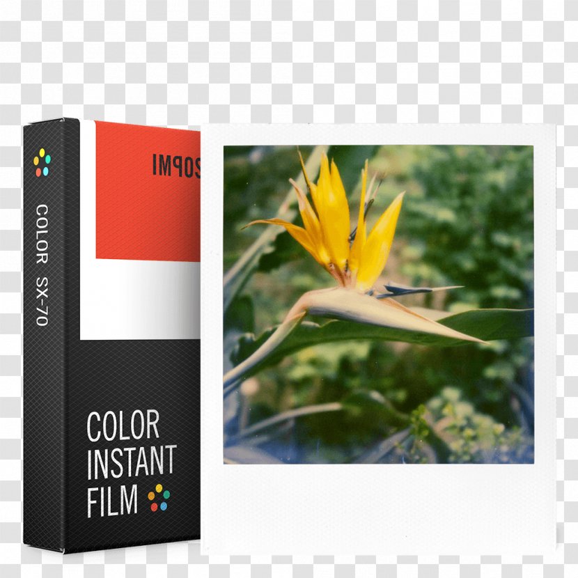 Polaroid SX-70 Photographic Film Instant Camera Originals - Sx70 Transparent PNG