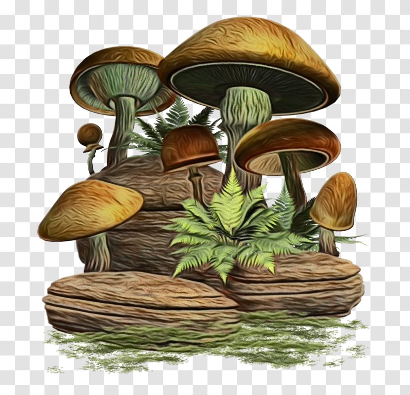 Mushroom Cartoon - Wood - Fungus Agaricomycetes Transparent PNG