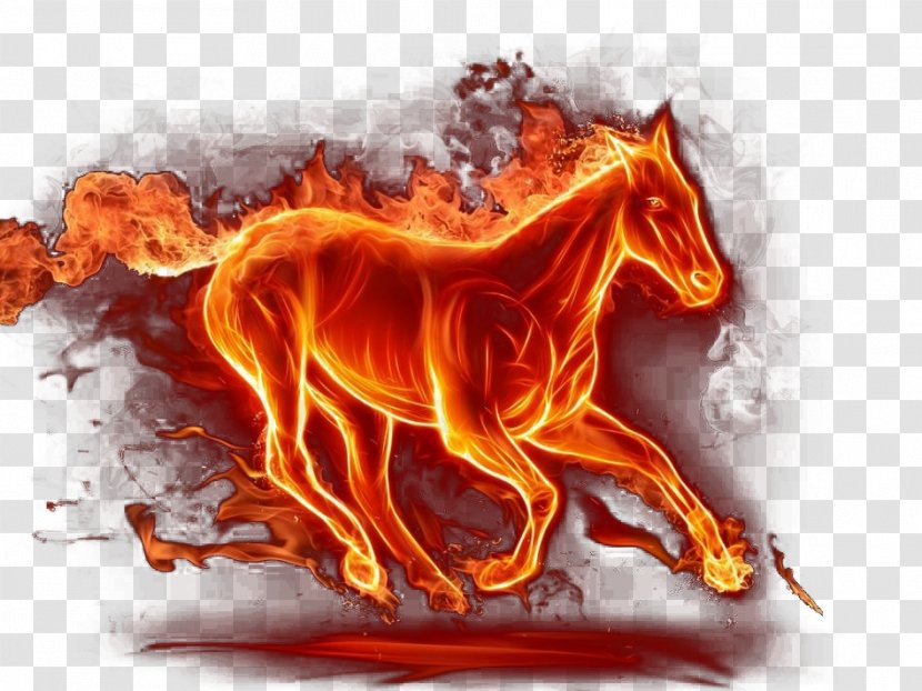 Horse Kindle Fire HD High-definition Television 4K Resolution Wallpaper - Organism - Running Transparent PNG