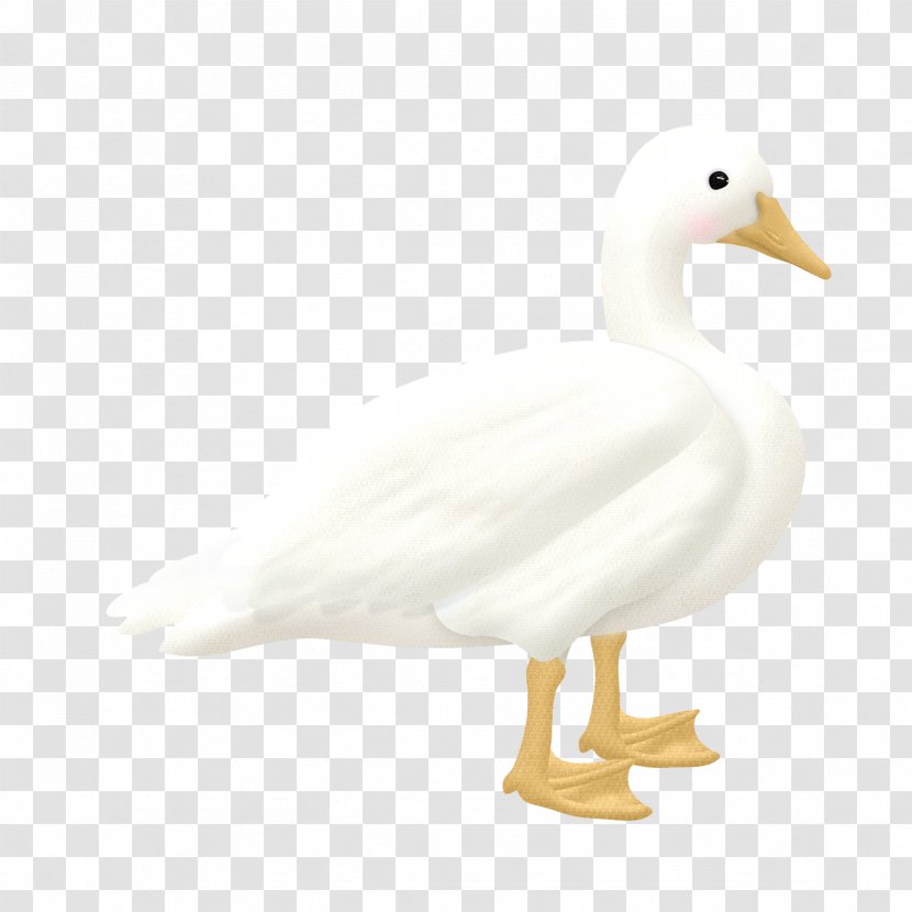 Duck With Not Bulletproof Goose Cygnini Transparent PNG