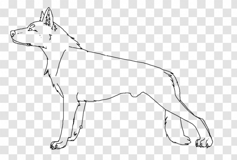 Dog Breed Puppy Red Fox Line Art - Animal Transparent PNG