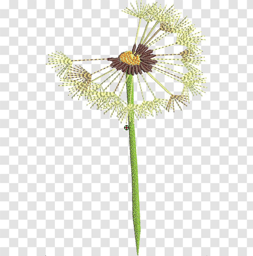 Dandelion Twig Cut Flowers Plant Stem Transparent PNG