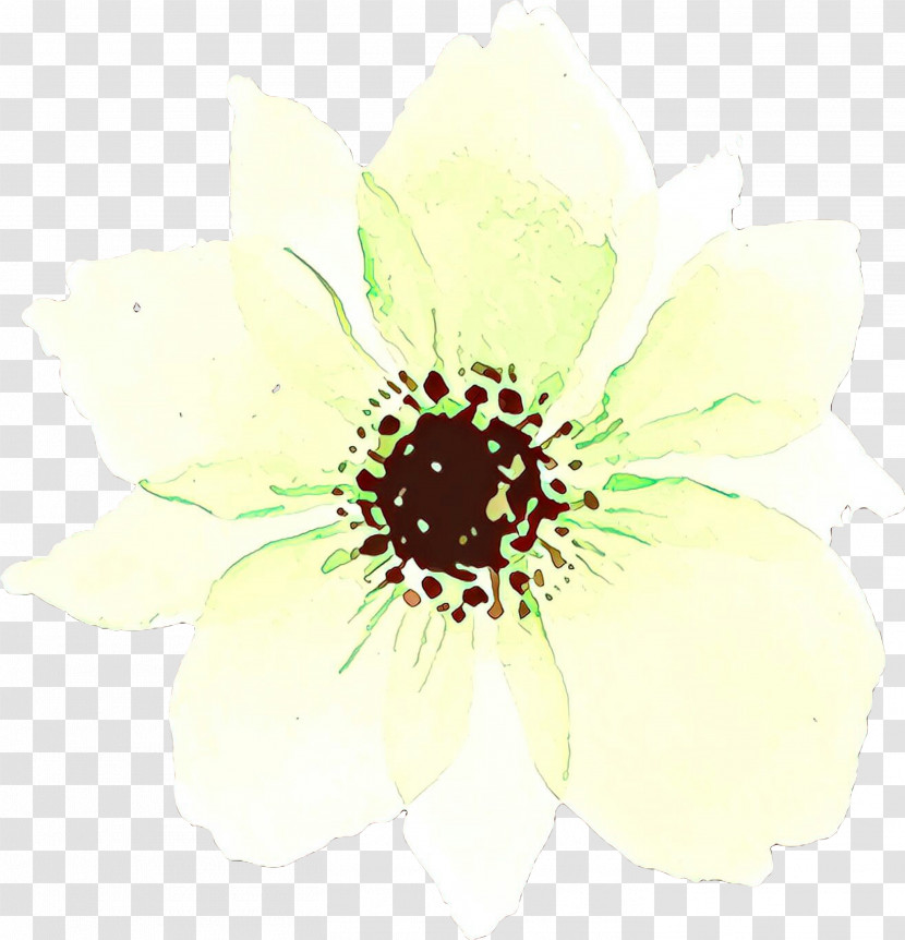 White Flower Petal Plant Watercolor Paint Transparent PNG
