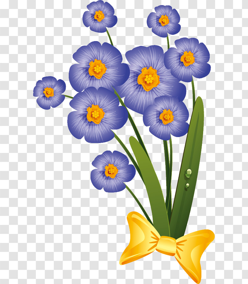 Flower Plant Petal Forget-me-not Narcissus Transparent PNG