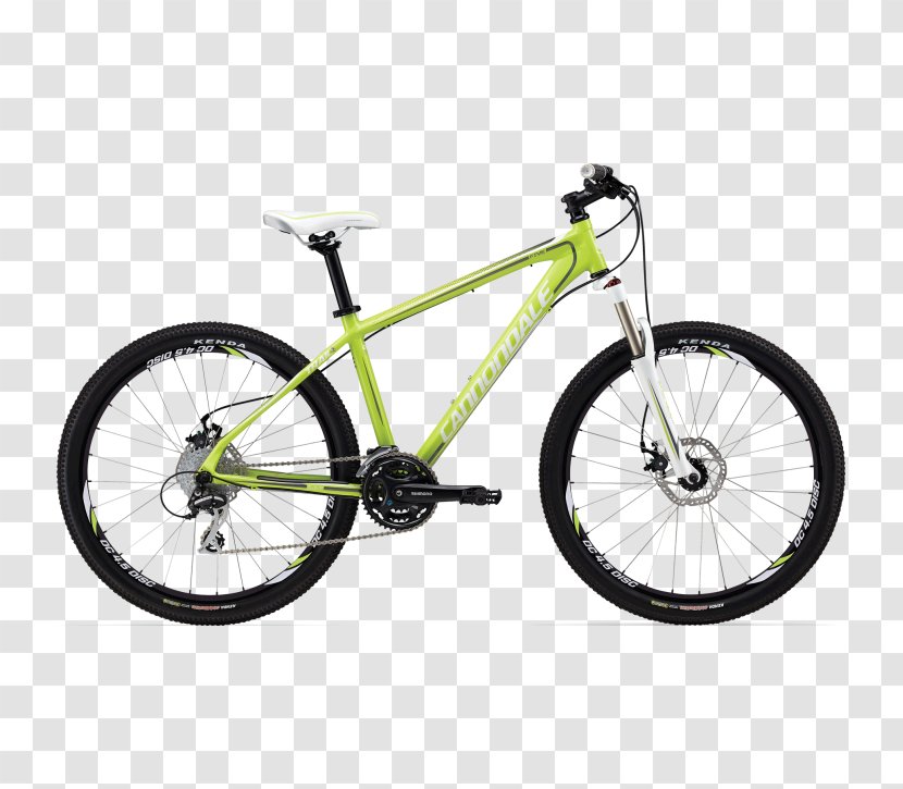 vitus mtb