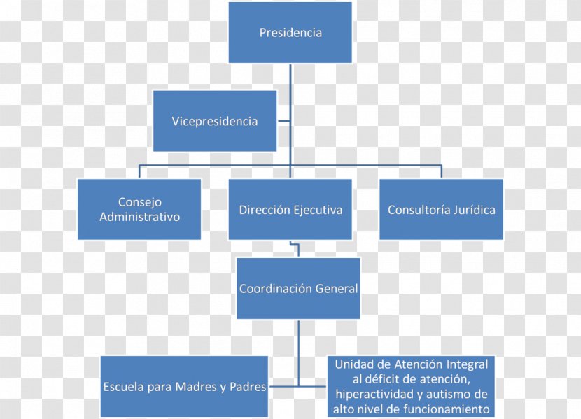 Organizational Chart Reading Writing Primary Education - Number - Salon Transparent PNG