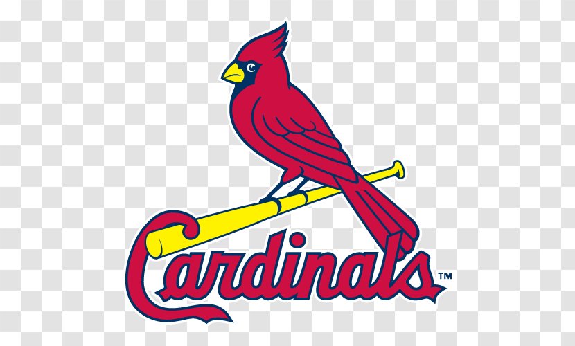 St. Louis Cardinals MLB Palm Beach Blues - St - Field Cliparts Transparent PNG