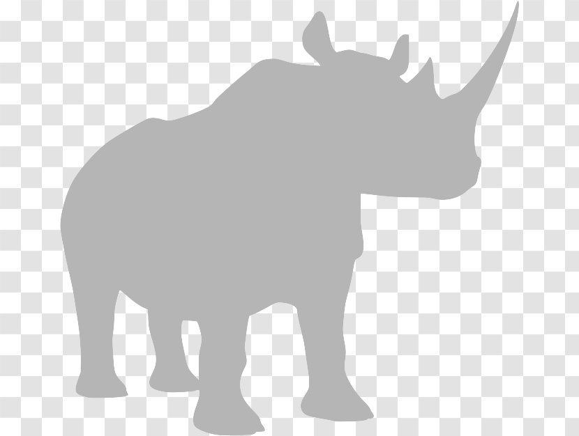 Indian Elephant - Rhinoceros Snout Transparent PNG