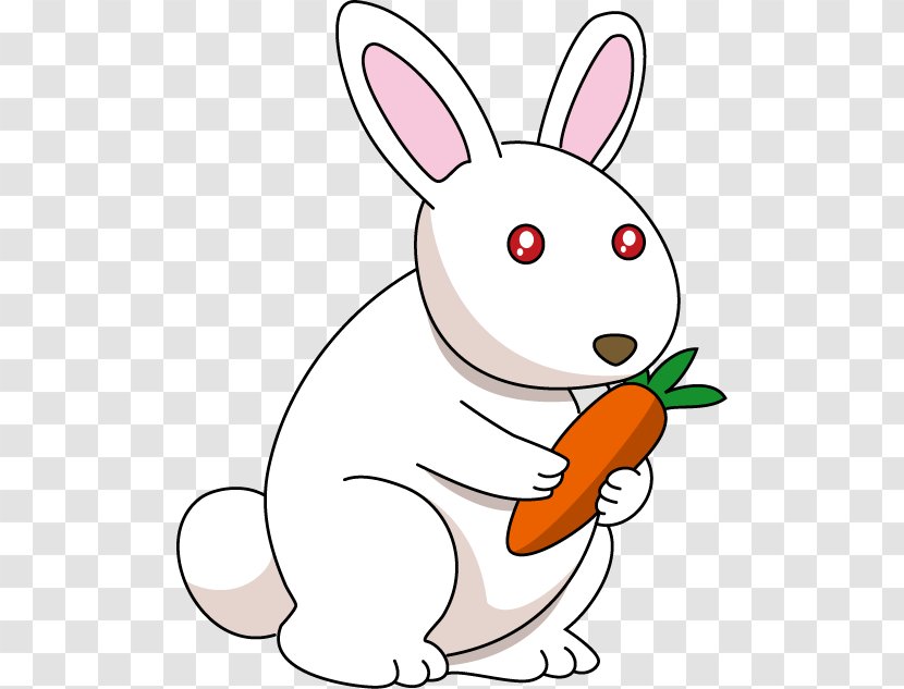 Domestic Rabbit Hare Illustration Easter Bunny - Whiskers Transparent PNG