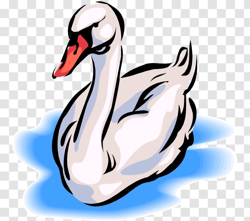 Black Swan Whooper Free Content Clip Art - Website - Bird Swimming Cliparts Transparent PNG