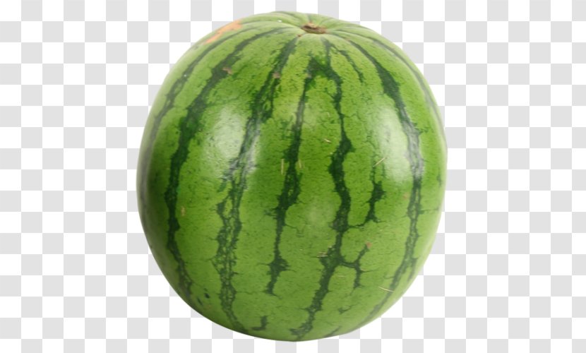 Watermelon Clip Art Cantaloupe - Food Transparent PNG
