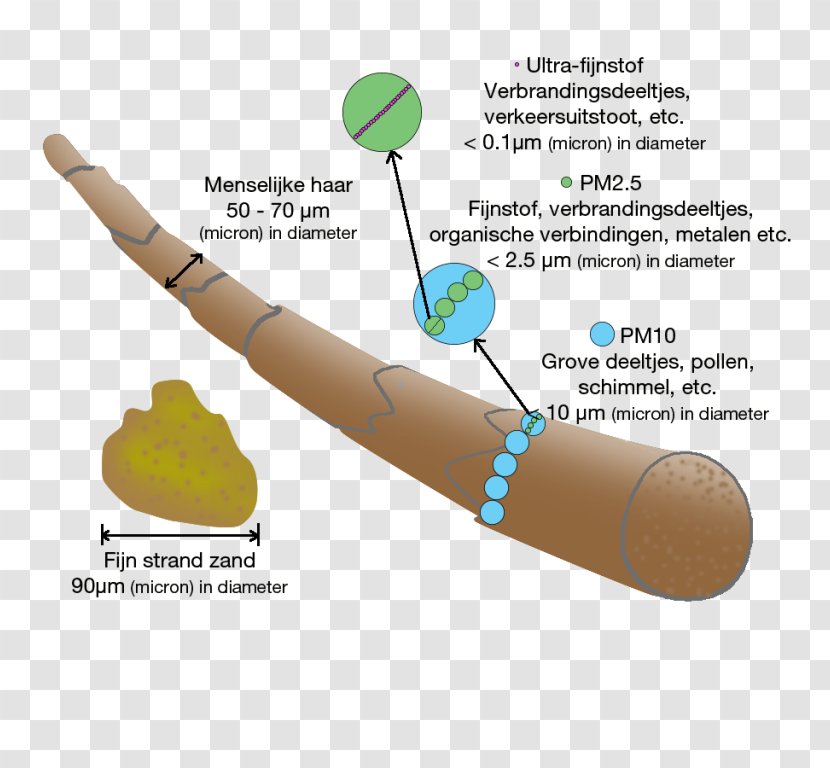 Particulates Micrometer PM10 Dust Deeltje - Diameter Transparent PNG