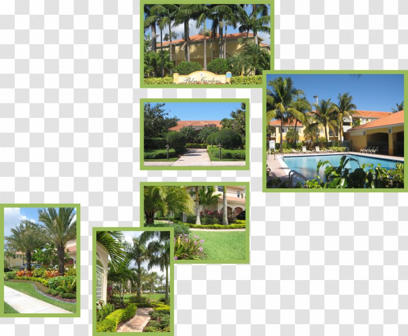 Arecaceae Property Estate Resort Meter - Land Lot - Arecales Transparent PNG