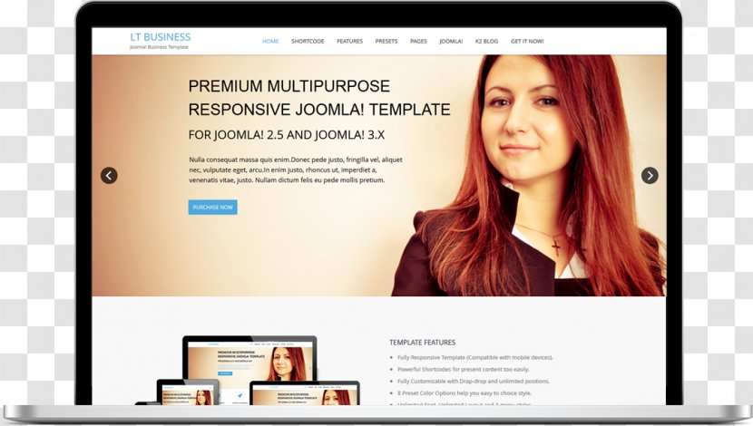 Responsive Web Design Professional Joomla! Page Template - Display Advertising - Business Theme Transparent PNG