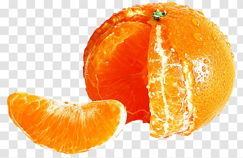 Clementine Mandarin Orange Tangerine Bitter Tangelo - Yuzu - Grapefruit Transparent PNG