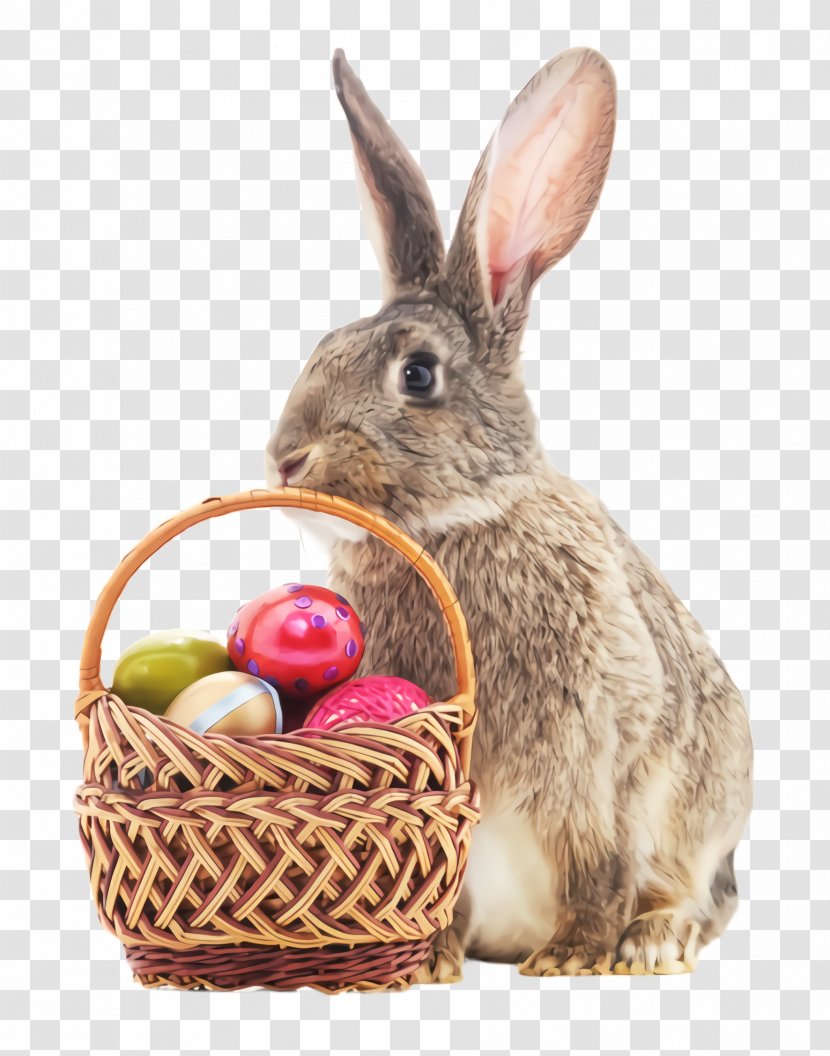 Easter Egg - Basket - Hamper Wood Rabbit Transparent PNG