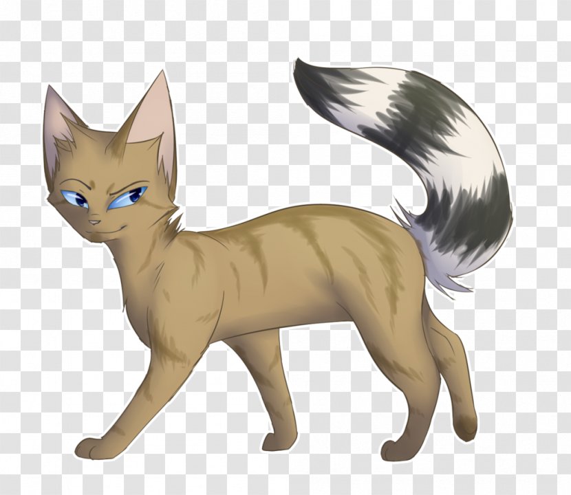 Whiskers Domestic Short-haired Cat Red Fox Fauna - Short Haired Transparent PNG