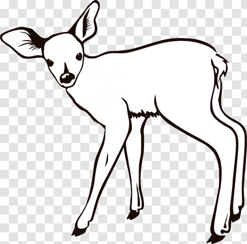 White-tailed Deer Coloring Book Infant Child - Monochrome Photography - Kangaroo Outline Transparent PNG