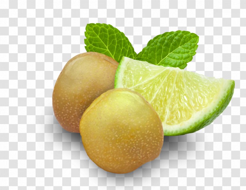 Key Lime Sweet Lemon Persian - Fruit Transparent PNG