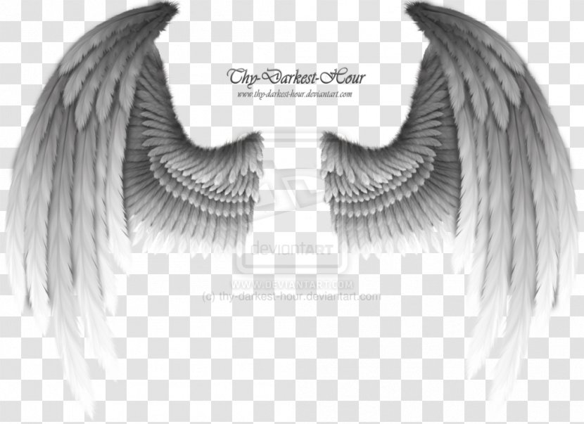 Wing Clip Art - Monochrome - Jaw Transparent PNG