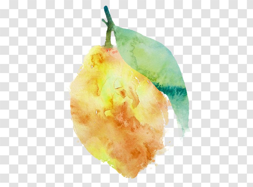Pear - Fruit Transparent PNG