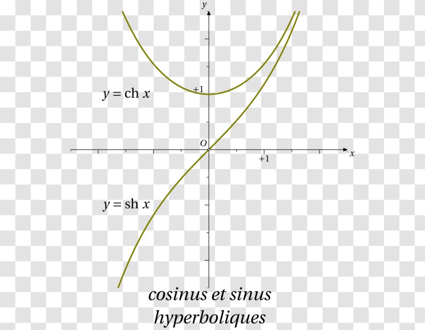 Hyperbolic Sine Curve Function Frame - Leaf - Angle Transparent PNG