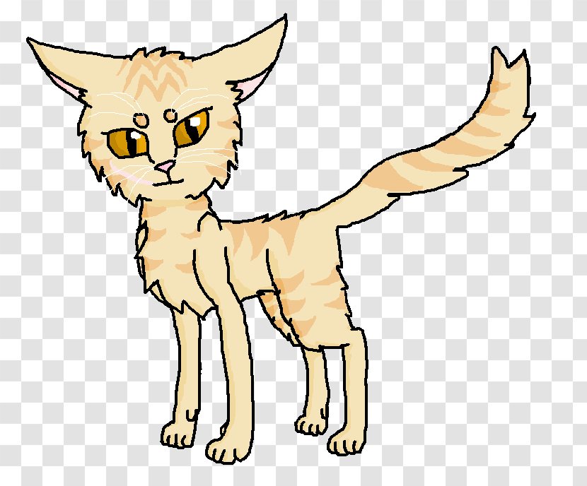 Wildcat Kitten Mammal Carnivora - Red Fox - Torn Transparent PNG