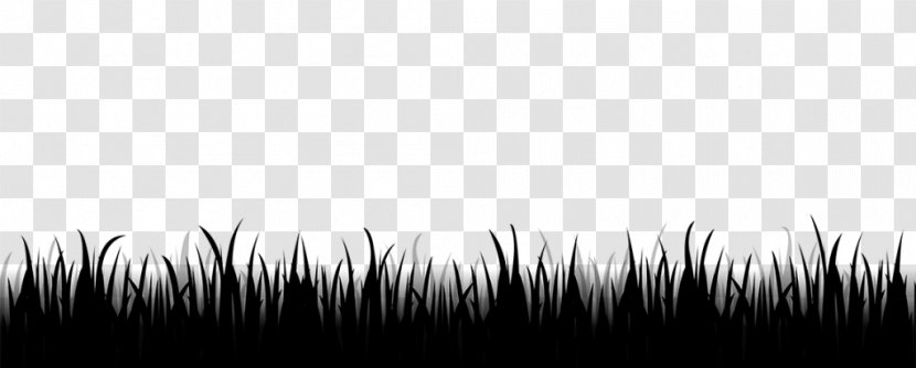 Desktop Wallpaper Computer Grasses Brain Sky - Monochrome - Grass Transparent PNG