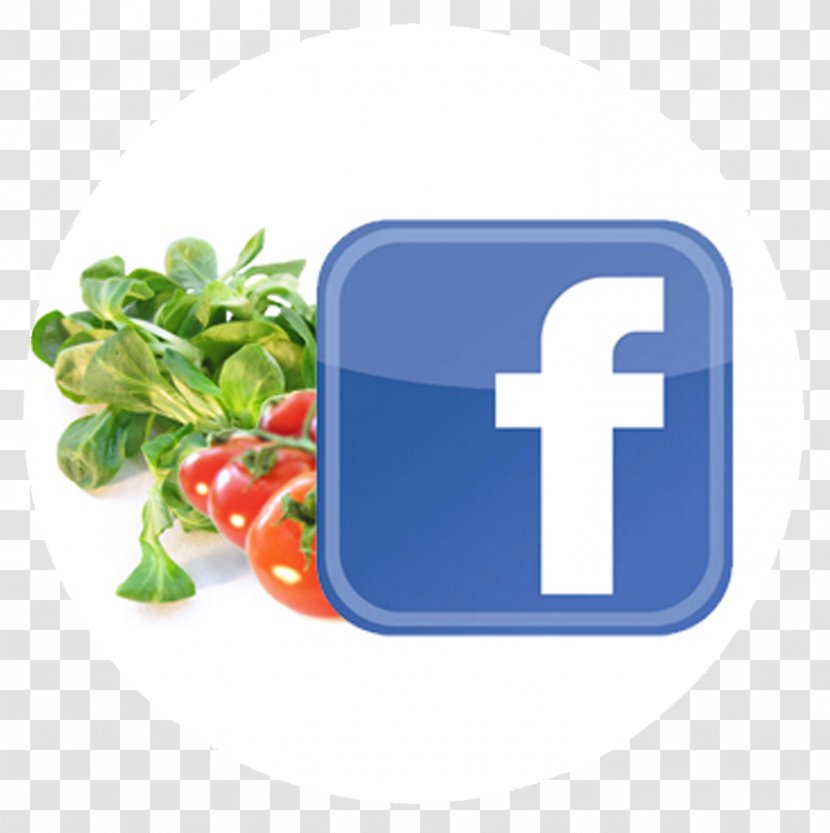 Facebook, Inc. Logo - Facebook Inc Transparent PNG