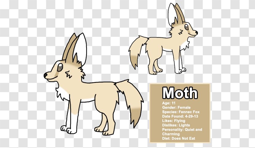 Dog Breed Line Art Red Fox Clip - Animal Figure - Moth Drawing Transparent PNG