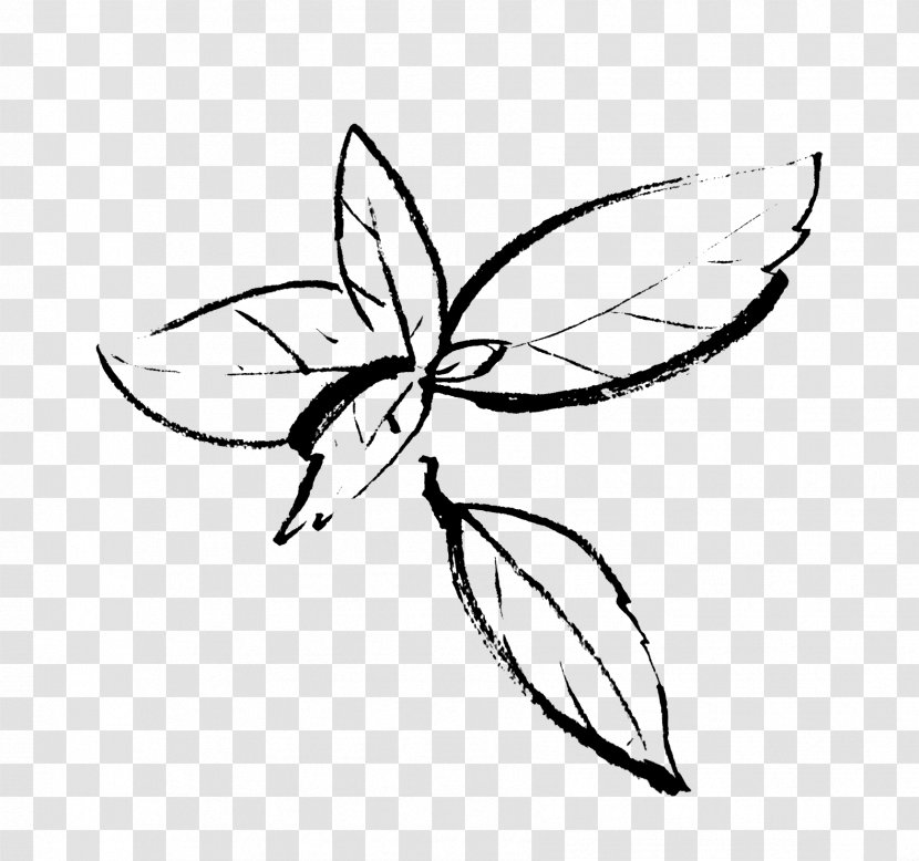 Drawing Insect Organic Beef Line Art - Flower - Basil Transparent PNG