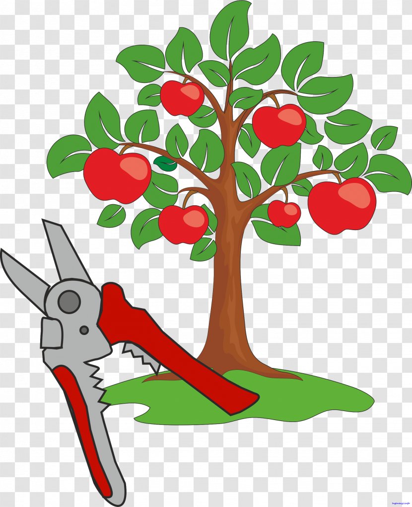 Apple Fruit Tree Clip Art Transparent PNG