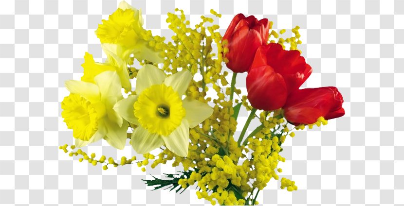 Flower Bouquet International Women's Day Clip Art - Mauro Mejia - Mimosa Transparent PNG