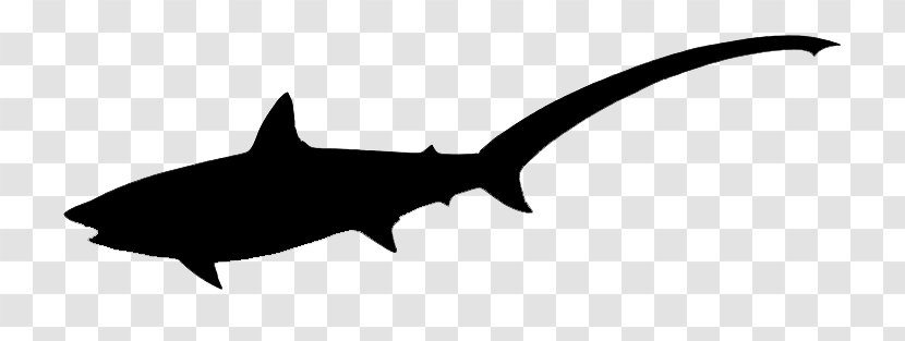 Shark Clip Art Black & White - Tiger - M Fauna LineShark Silhouette Free Transparent PNG