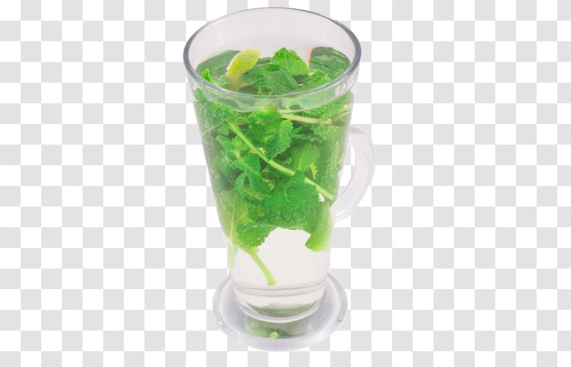 Health Shake Mojito - Drink - Chanh Leo Transparent PNG