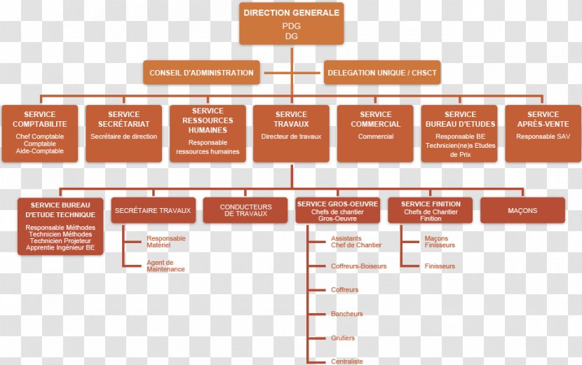 Organizational Chart Afacere Subsidiary EDHEC Sailing Cup - Text - Liens Transparent PNG