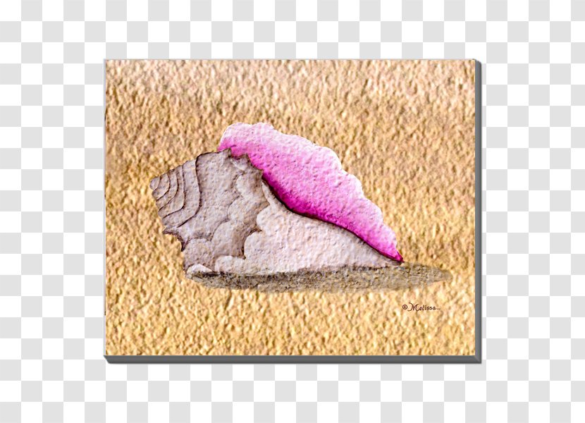 Throw Pillows Canvas Art Conch - Pink Transparent PNG