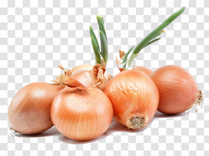 Onion Health Urdu Nutrition Food - Natural Foods Transparent PNG