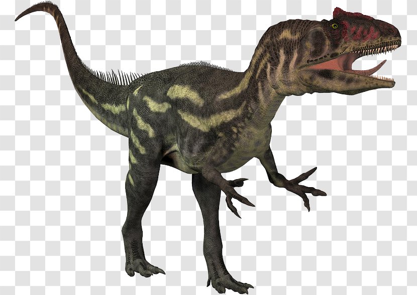 Allosaurus Dinosaur Theropods Cryolophosaurus Tyrannosaurus - Printing - Revolution Eoraptor Transparent PNG