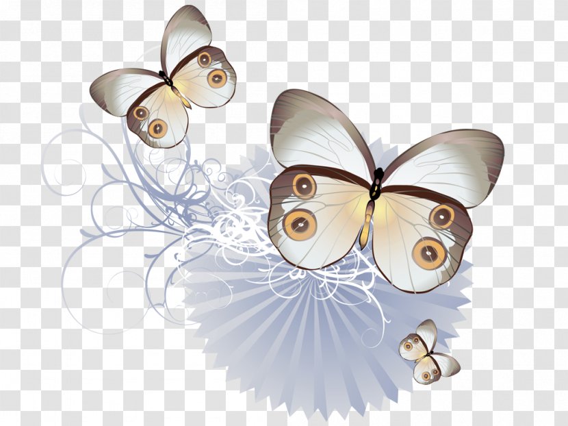 Butterfly Drawing - Butterflies And Moths - Frame Transparent PNG
