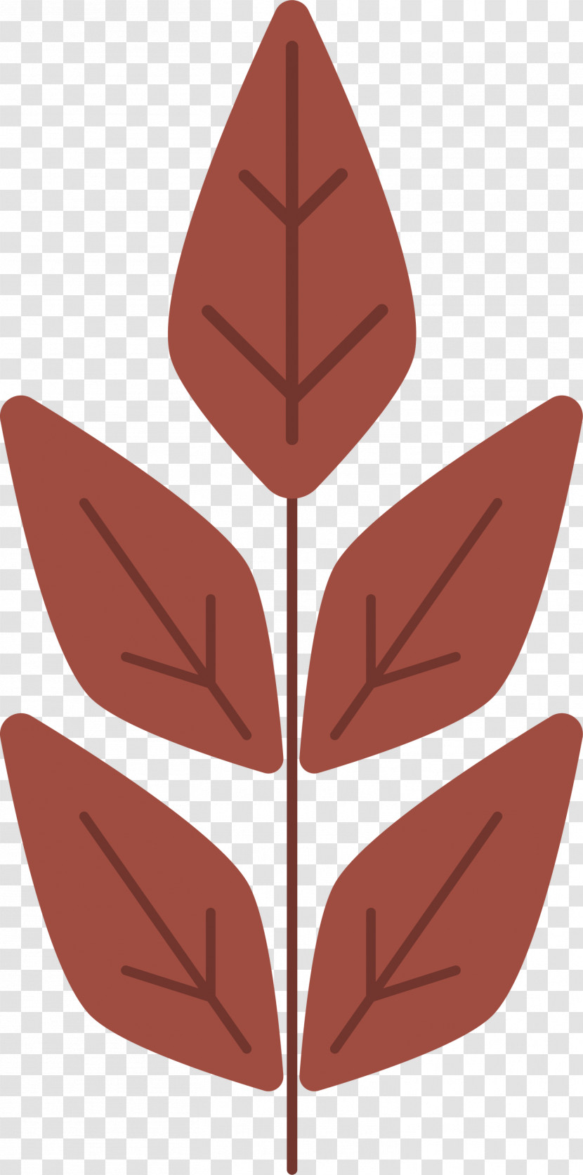 Leaf Flower Pattern Symmetry Angle Transparent PNG