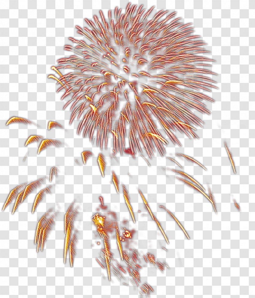 Fireworks Drawing Gratis - Light Jet Bloom Transparent PNG