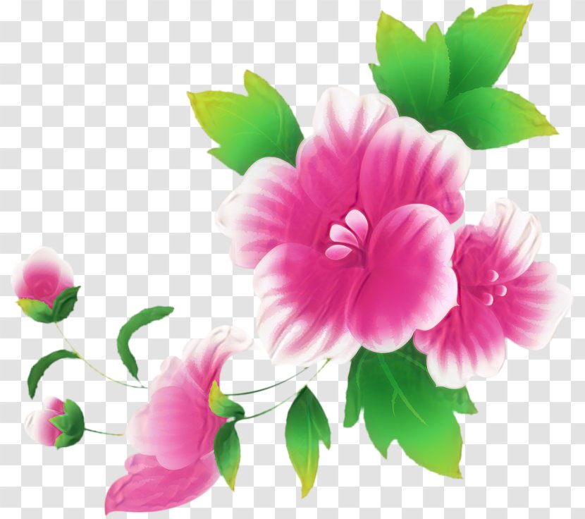 Clip Art Openclipart Pink Flowers Free Content - Plant - Flower Bouquet Transparent PNG