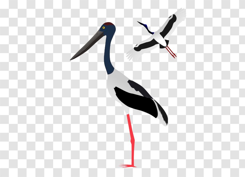 White Stork Clip Art - Crane - Blacknecked Transparent PNG