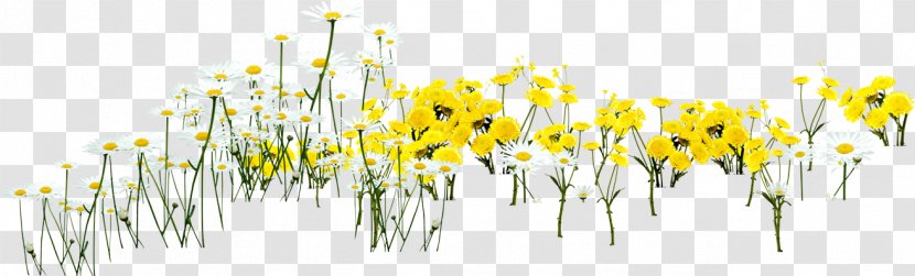 Floral Design Yellow Petal Computer Wallpaper - Sunflower Transparent PNG