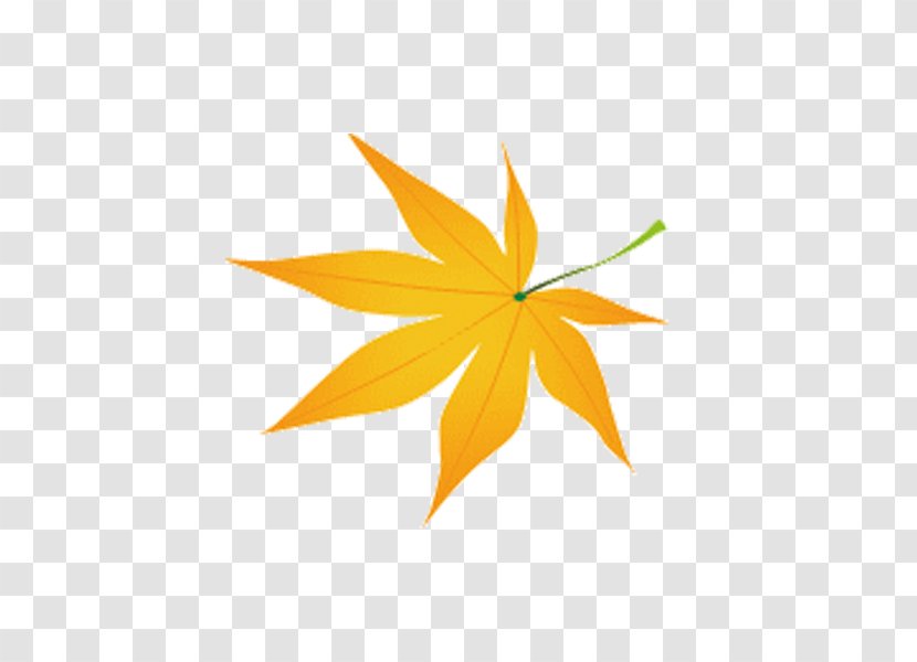 Maple Leaf Drawing Image Yellow Graphics - Best Community Transparent PNG