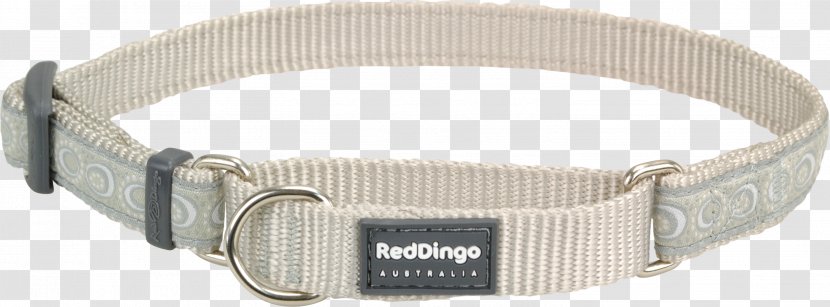 Dingo Dog Collar Martingale Transparent PNG