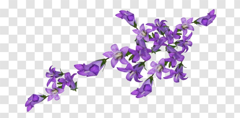 Flower Desktop Wallpaper Petal Image - Purple Transparent PNG