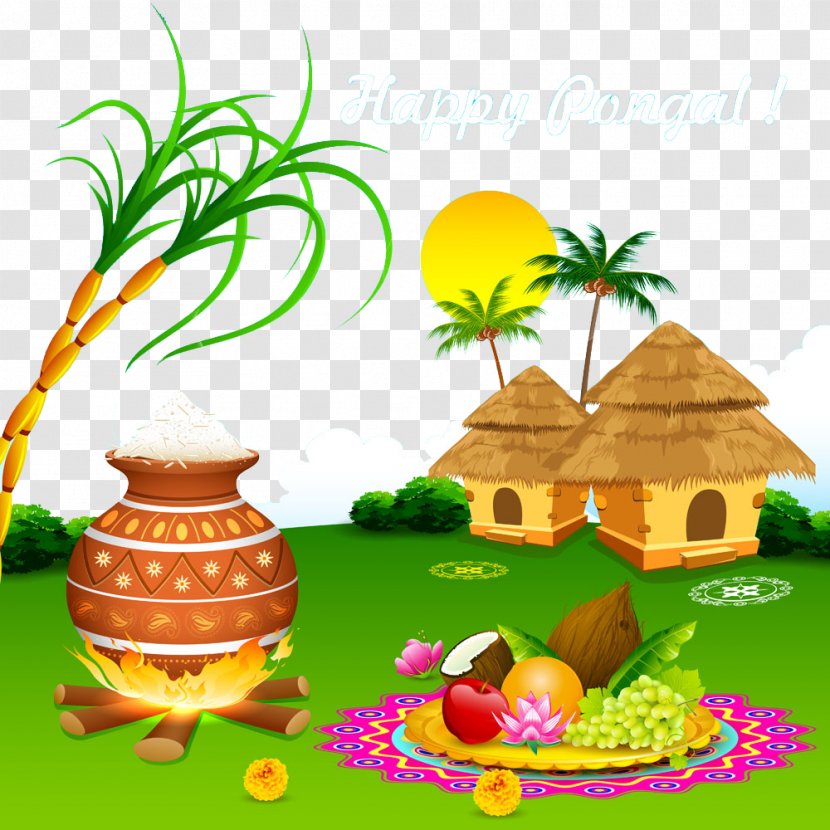 Thai Pongal Makar Sankranti Wish Mattu Harvest Festival - Plant - India Cottages Transparent PNG